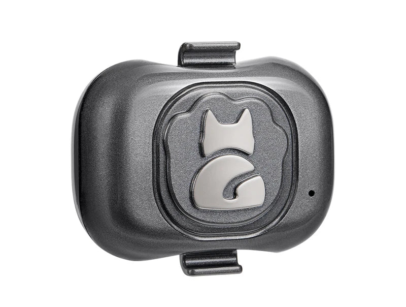 PawTrack Mini: Waterproof 4G/2G GPS Pet Tracker with Anti-Theft Alarm