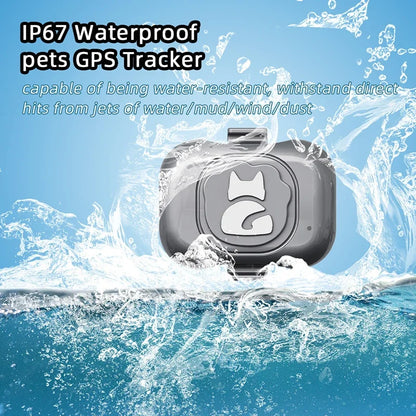 PawTrack Mini: Waterproof 4G/2G GPS Pet Tracker with Anti-Theft Alarm