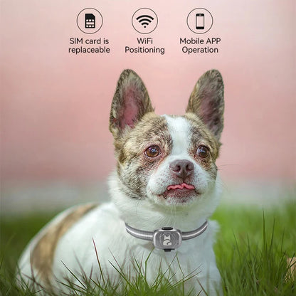 PawTrack Mini: Waterproof 4G/2G GPS Pet Tracker with Anti-Theft Alarm